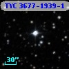 TYC 3677-1939-1