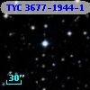 TYC 3677-1944-1