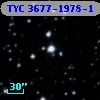 TYC 3677-1978-1