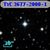 TYC 3677-2000-1