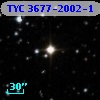 TYC 3677-2002-1