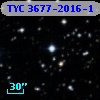 TYC 3677-2016-1