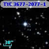TYC 3677-2077-1