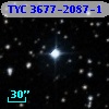 TYC 3677-2087-1