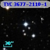 TYC 3677-2110-1