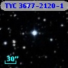 TYC 3677-2120-1