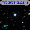 TYC 3677-2125-1