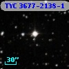 TYC 3677-2138-1