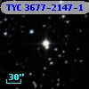 TYC 3677-2147-1