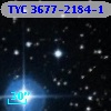 TYC 3677-2184-1