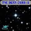 TYC 3677-2193-1