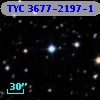 TYC 3677-2197-1