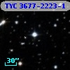 TYC 3677-2223-1