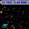 Cl* NGC 2588    BMG    4261