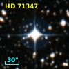 HD  71347