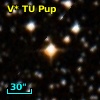 V* TU Pup