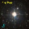 * q Pup