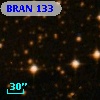 BRAN 133