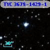 TYC 3678-1429-1