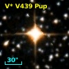V* V439 Pup