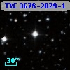 TYC 3678-2029-1