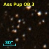 Ass Pup OB   3-