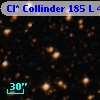 Cl* Collinder  185      L      43