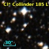 Cl* Collinder  185      L      48