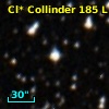 Cl* Collinder  185      L      74
