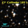 Cl* Collinder  185      L      77