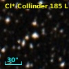 Cl* Collinder  185      L      81