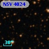 NSV  4024