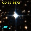 CD-37  4473