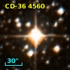 CD-36  4560