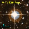 V* V436 Pup