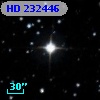 HD 232446