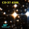 CD-37  4586