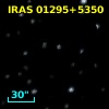 IRAS 01295+5350