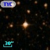 TYC 7134-1337-1
