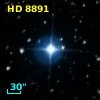 HD   8891