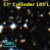 Cl* Collinder  185      L       1