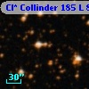 Cl* Collinder  185      L       8
