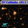 Cl* Collinder  185      L      11