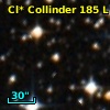 Cl* Collinder  185      L      25