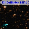 Cl* Collinder  185      L      29
