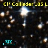 Cl* Collinder  185      L      32
