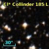 Cl* Collinder  185      L      41