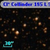 Cl* Collinder  185      L      55