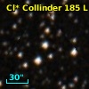Cl* Collinder  185      L      61