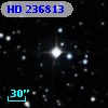 HD 236813